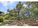 Sprawling front yard featuring a mature, stately tree offering ample shade and visual interest at 503 W Carolina Ave, Summerville, SC 29483