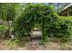 Lush, overgrown backyard entrance via greenery arch at 815 W Carolina Rd, McClellanville, SC 29458