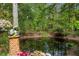 Backyard pond view of the tranquil water feature reflecting the sky and surrounded by lush greenery at 815 W Carolina Rd, McClellanville, SC 29458