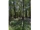 Lush trees surround the property, offering privacy and natural beauty with visible street number sign at 815 W Carolina Rd, McClellanville, SC 29458