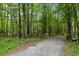 Image shows dense woodland of tall trees and green foliage surrounding a gravel road, with signage and a gate visible ahead at 815 W Carolina Rd, McClellanville, SC 29458