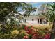 Serene backyard featuring lush greenery, a cozy patio, and trees, perfect for relaxation and outdoor gatherings at 847 Condon Dr, James Island, SC 29412