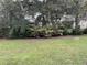 Landscaped backyard featuring mature trees, green grass, and healthy bushes at 8634 Grassy Oak Trl, North Charleston, SC 29420