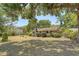 Charming home surrounded by mature trees, enhancing privacy and creating a serene setting at 1012 Cliffwood Dr, Mount Pleasant, SC 29464