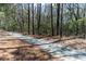 Scenic walking trail through a peaceful wooded area, promoting an active lifestyle at 1025 Riverland Woods Pl # 906, Charleston, SC 29412