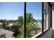Exterior view from inside showcasing lush green trees, parked cars, and a clear blue sky at 14 Lockwood Dr # 2D, Charleston, SC 29401
