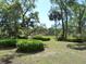Park-like backyard area with mature trees and greenery, providing a serene atmosphere at 1527 S Pinebark Ln, Charleston, SC 29407