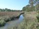 Picturesque marshland scene with tall grasses and a winding stream, creating a natural landscape at 1527 S Pinebark Ln, Charleston, SC 29407