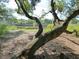 Marsh view featuring mature trees, providing shade and natural setting at 1527 S Pinebark Ln, Charleston, SC 29407