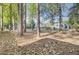 Backyard with mature trees and a seating area; great area to relax or entertain guests at 210 Peters St, Summerville, SC 29483