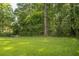 Spacious backyard with lush green grass and mature trees, perfect for outdoor activities and relaxation at 407 Tammie Ave, Goose Creek, SC 29445