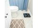 Cozy bathroom showcases a toilet, shower curtain, scale, and patterned rug at 407 Tammie Ave, Goose Creek, SC 29445