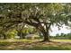 Picturesque park setting with majestic oak trees and Spanish moss, creating a serene and inviting atmosphere at 407 Tammie Ave, Goose Creek, SC 29445