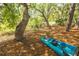 Kayack and a trail nestled among mature trees at 4082 Blackmoor St, Mount Pleasant, SC 29466