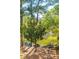 A backyard with trees overlooks a scenic view with waterfront scenery, a place to unwind outdoors at 4082 Blackmoor St, Mount Pleasant, SC 29466