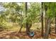 Enjoy nature in the backyard with a view of the waterway, trees, and lush landscaping, perfect for relaxation at 4082 Blackmoor St, Mount Pleasant, SC 29466