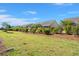 Landscaped backyard with green lawn, shrubbery, and a view of the rear of neighboring homes at 4996 Song Sparrow Way, Summerville, SC 29483