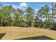 Spacious backyard featuring a grass lawn bordered by a thicket of tall trees at 5569 Frisco Ln, Johns Island, SC 29455