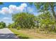 Street view of a tree-lined property with a chain link fence bordering the grass at 5569 Frisco Ln, Johns Island, SC 29455