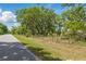 Photo of the yard that is bordered by a chain link fence and the road at 5569 Frisco Ln, Johns Island, SC 29455
