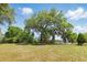 Expansive green lawn with mature trees, some draped in Spanish moss, under a bright blue sky at 5569 Frisco Ln, Johns Island, SC 29455
