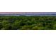 Expansive aerial view showcases a dense forest and a scenic bridge in the distance at 595 Crowned Kinglet Retreat, Charleston, SC 29412