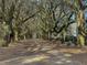 Scenic driveway lined with mature oak trees creating a beautiful canopy and natural setting at 60 Fenwick Hall Allee # 321, Johns Island, SC 29455