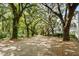 Tree-lined driveway leading to residences in a lush, natural setting with mature oak trees and greenery at 60 Fenwick Hall Allee # 321, Johns Island, SC 29455