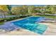Large community pool with clearly marked lanes on a sunny day at 853 Bibury Ct, Charleston, SC 29414