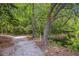 Picturesque walking trail winding through lush greenery, offering a peaceful outdoor experience at 1025 Riverland Woods Pl # 1008, Charleston, SC 29412