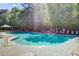 Sparkling community pool surrounded by lush greenery, offering a refreshing escape for residents at 104 Valentin Dr, Summerville, SC 29483