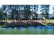 Aerial view of backyard with a lake view and mature trees with great privacy at 108 Bluff Isle Ct, Summerville, SC 29486