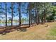 Serene backyard with mature trees and a tranquil view of the lake at 108 Bluff Isle Ct, Summerville, SC 29486