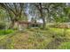 Spacious backyard featuring mature trees and cacti surrounding the home and a greenhouse at 110 Jackson Rd, Ladson, SC 29456