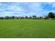 Large green recreational field in a neighborhood setting offering ample space for outdoor activities at 116 Backhurst Dr, Summerville, SC 29486