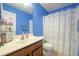 Blue bathroom featuring a vanity sink, framed mirror, and a shower with a decorative white shower curtain at 117 Blue Bonnet St, Summerville, SC 29483