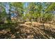 View of a treed backyard with fence and a storage building on the property at 1456 Remount Rd, North Charleston, SC 29406
