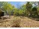 A view of the property's backyard and perimeter show a chain link fence and mature trees at 1456 Remount Rd, North Charleston, SC 29406