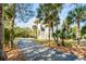 View of the house through a driveway lined with palm trees and lush, natural vegetation at 23 Fairway Village Ln, Isle of Palms, SC 29451