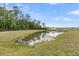 Scenic view of a tranquil pond surrounded by lush greenery, enhancing the property's natural appeal at 313 Squire Pope Rd, Summerville, SC 29486