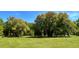 Expansive green lawn with beautiful, mature trees for plenty of shade on a sunny day at 4911 Chisolm Rd, Johns Island, SC 29455