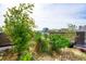 Lush rooftop garden featuring an array of plants, rocks, and greenery, offering a serene outdoor space with city views at 62 Gadsden St # A, Charleston, SC 29401