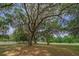 Large trees in the front yard of a home with green grass surrounded by white fencing at 7875 Berry Manor Ln, Edisto Island, SC 29438