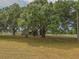 Large trees in the front yard of a single story home surrounded by white fencing at 7875 Berry Manor Ln, Edisto Island, SC 29438
