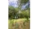 Extensive yard showcases mature trees and local fauna at 1061 Reverend Joseph Heyward Rd, Charleston, SC 29414
