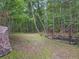 Secluded backyard with trees and ground cover, offering privacy and a natural setting at 1061 Reverend Joseph Heyward Rd, Charleston, SC 29414
