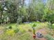 Natural backyard featuring a variety of plants and ground cover, creating a serene and private outdoor space at 1061 Reverend Joseph Heyward Rd, Charleston, SC 29414