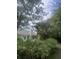 Charming home exterior with a lush, landscaped yard and a beautiful palm tree in a tranquil setting at 1061 Reverend Joseph Heyward Rd, Charleston, SC 29414