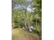 A lush pond is surrounded by mature trees and native vegetation adding to the property's privacy at 1061 Reverend Joseph Heyward Rd, Charleston, SC 29414
