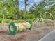 Community playground with swings, slides, and climbing structure surrounded by lush trees at 1226 Spotflower St, Summerville, SC 29485